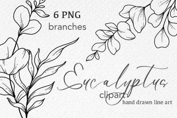 Eucalyptus Branches Graphics for Crafting