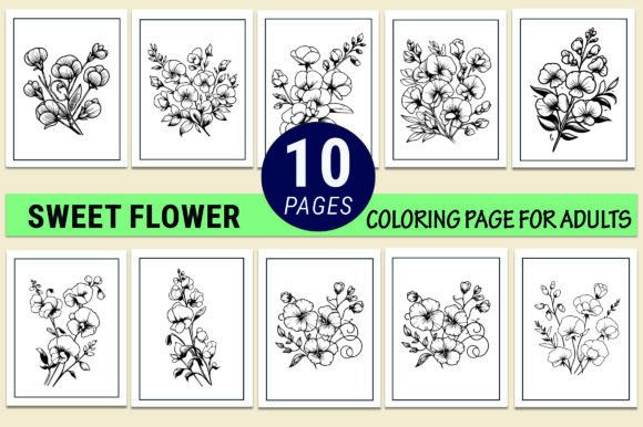 Hand Draw Sweet Pea Flower Coloring Page