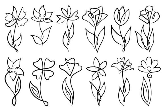 Line Art Flowers with Single Line Graphics