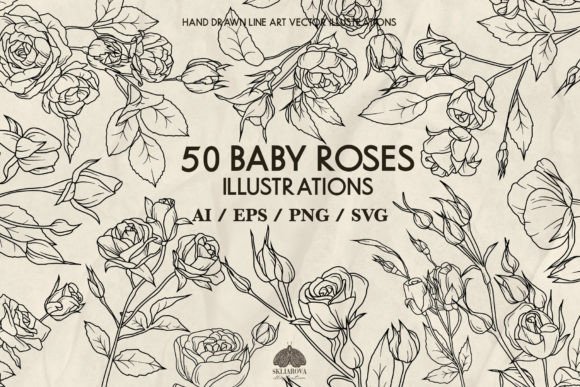 Roses Line Drawing Graphics for Digital Creators