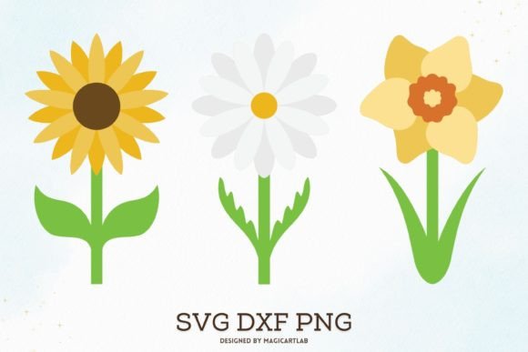 Sunflower, Daisy, Daffodil Cliparts