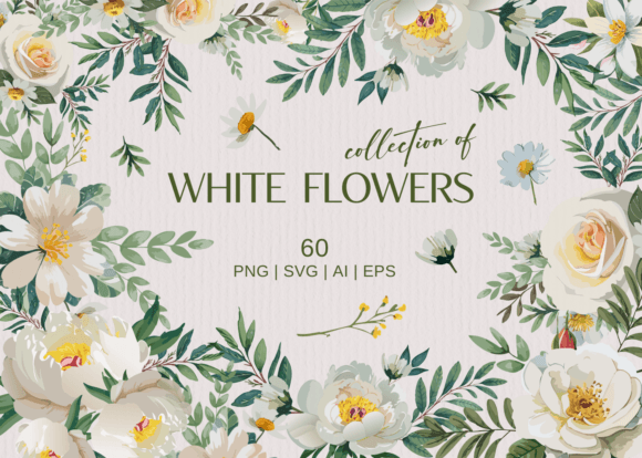 White Flowers PNG and Vector